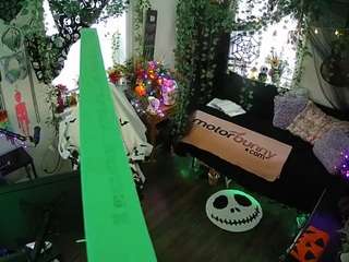 voyeurcam veccasalt 01