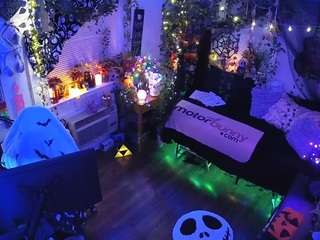 voyeurcam-veccasalt-01