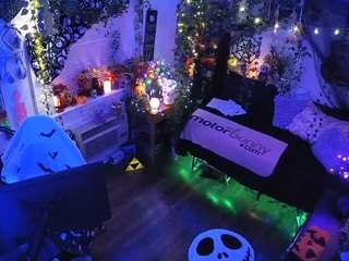 voyeurcam-veccasalt-01