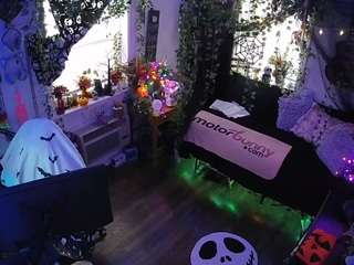 voyeurcam-veccasalt-01
