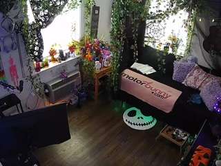 voyeurcam-veccasalt-01