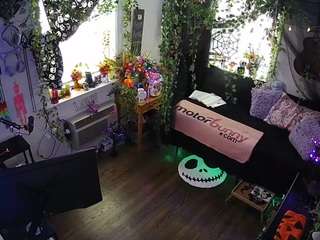 voyeurcam-veccasalt-01
