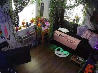 voyeurcam veccasalt 01