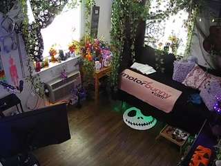 voyeurcam-veccasalt-01