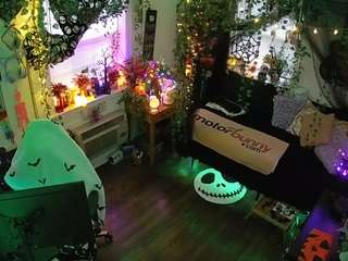 voyeurcam veccasalt 01