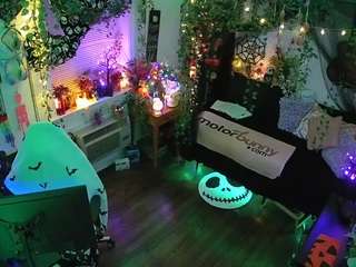 voyeurcam-veccasalt-01