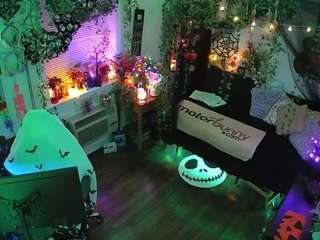 voyeurcam-veccasalt-01