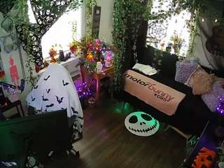 voyeurcam-veccasalt-01