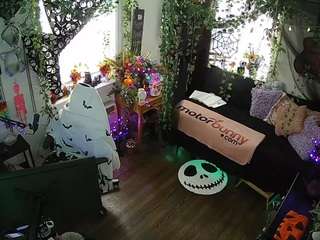 voyeurcam-veccasalt-01