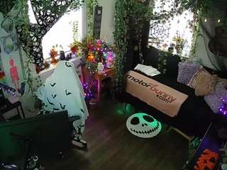 voyeurcam-veccasalt-01