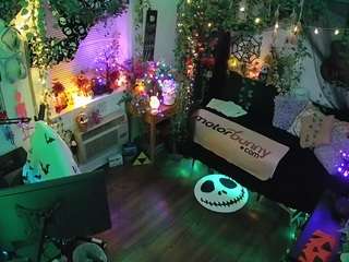 voyeurcam-veccasalt-01