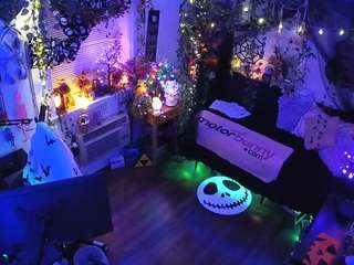 voyeurcam-veccasalt-01