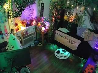 voyeurcam-veccasalt-01