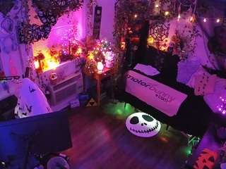 voyeurcam-veccasalt-01