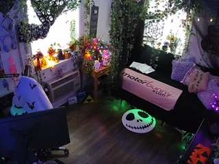 voyeurcam-veccasalt-01