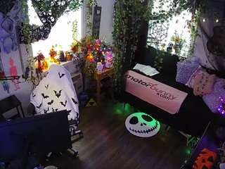 voyeurcam-veccasalt-01