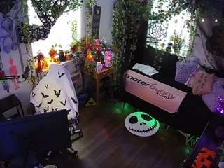 voyeurcam-veccasalt-01