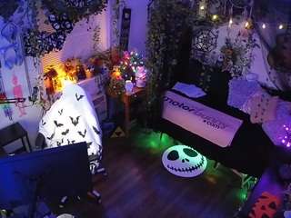 voyeurcam-veccasalt-01
