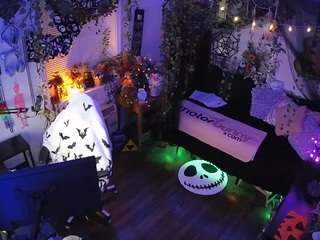 voyeurcam-veccasalt-01