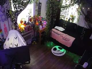 voyeurcam veccasalt 01