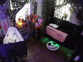voyeurcam veccasalt 01
