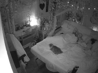 voyeurcam veccasalt 01