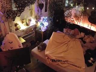 voyeurcam-veccasalt-01
