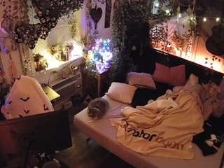 voyeurcam-veccasalt-... webcam