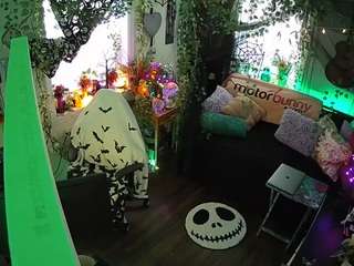 voyeurcam veccasalt 01