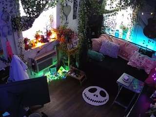 voyeurcam-veccasalt-... webcam