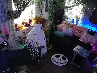 voyeurcam-veccasalt-... webcam