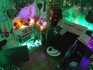 voyeurcam-veccasalt-01