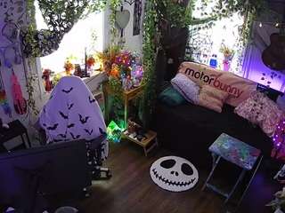 voyeurcam-veccasalt-... webcam