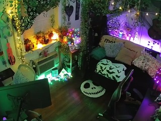 voyeurcam veccasalt 01
