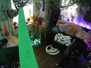 voyeurcam-veccasalt-... webcam