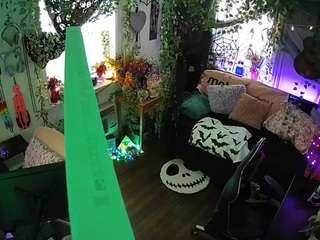 voyeurcam veccasalt 01