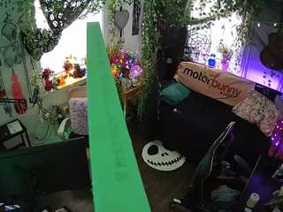 voyeurcam veccasalt 01
