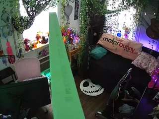 voyeurcam-veccasalt-01