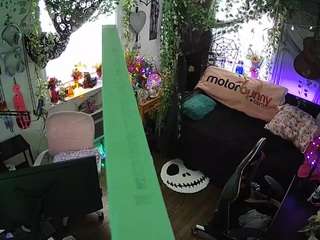 voyeurcam veccasalt 01