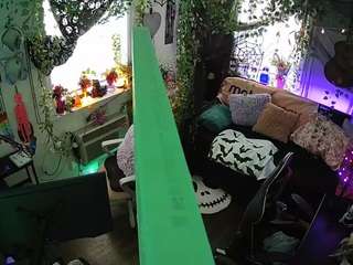 voyeurcam-veccasalt-01