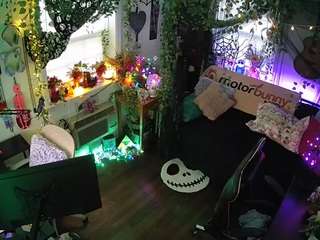 voyeurcam veccasalt 01