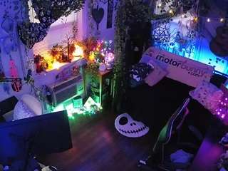 voyeurcam-veccasalt-... webcam