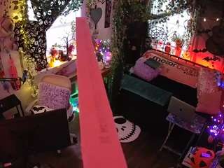 voyeurcam-veccasalt-01