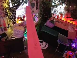 voyeurcam-veccasalt-01