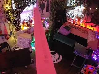 voyeurcam-veccasalt-01