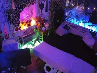 voyeurcam-veccasalt-... webcam