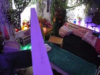 voyeurcam-veccasalt-... webcam