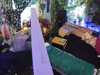 voyeurcam-veccasalt-01