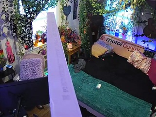 voyeurcam-veccasalt-01