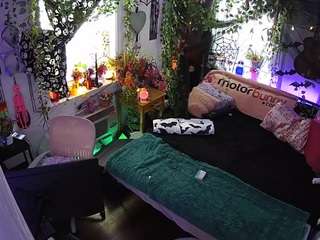 voyeurcam-veccasalt-... webcam